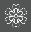 rhodi-bloom-flower